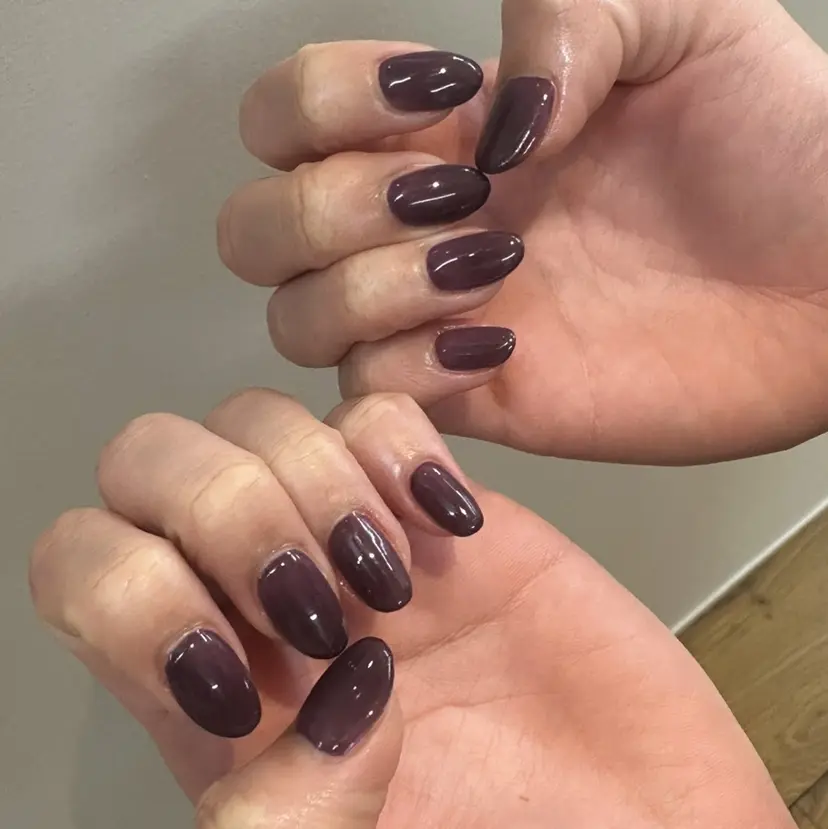 鈴木 結羽愛の掲載