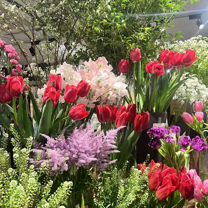 🐰Sara🐰 hair/eye🖤の掲載