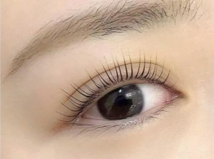 マリーテレジア 🪻YUKAの掲載