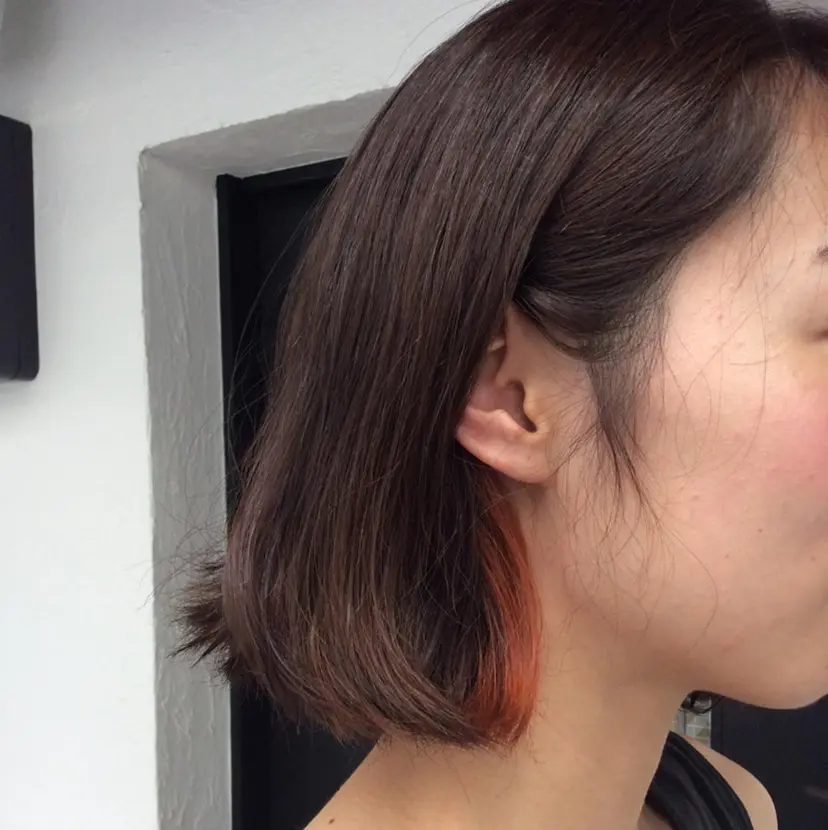 木村 美菜の掲載