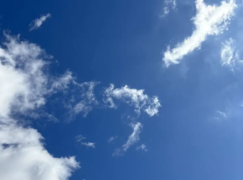 さき  ︎︎の掲載