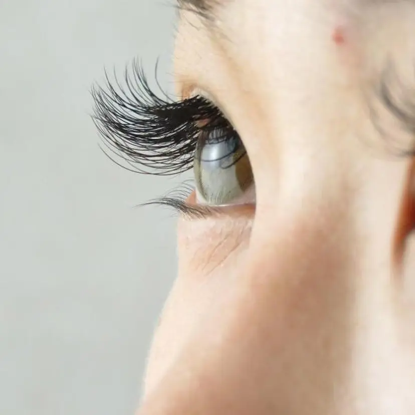 松本 清美の掲載