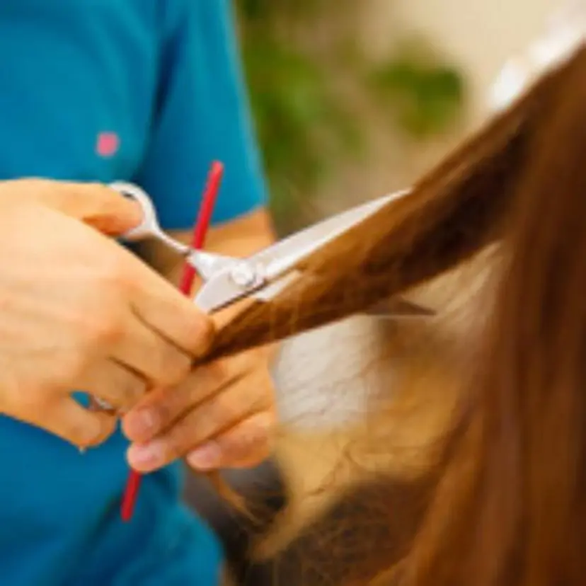 佐藤 智太の掲載