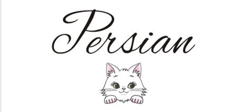 Persian Natsumiの掲載