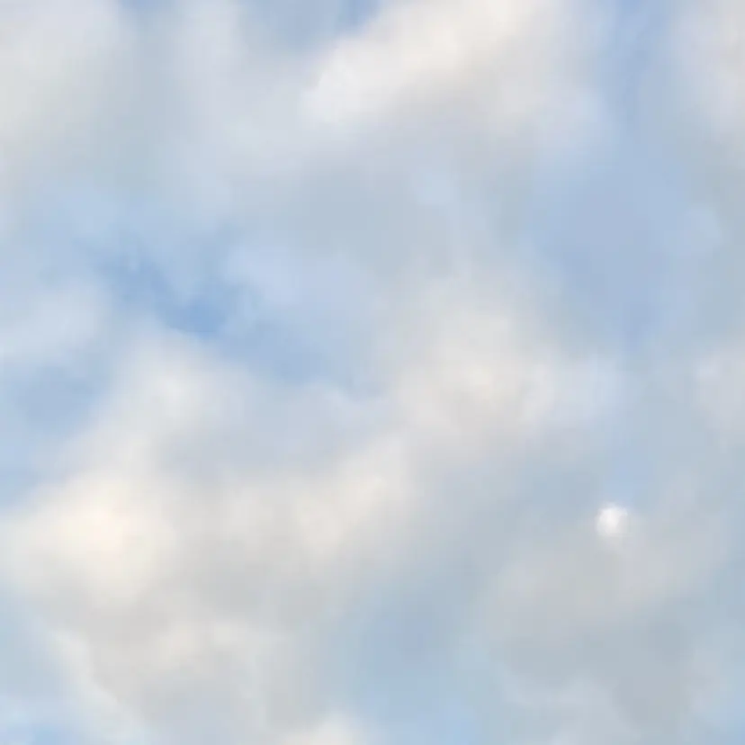 山本 梓絵奈の掲載