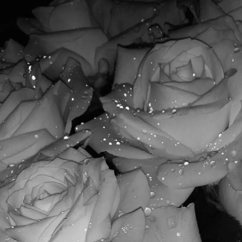 🔮メンズカット🔮 misaの掲載