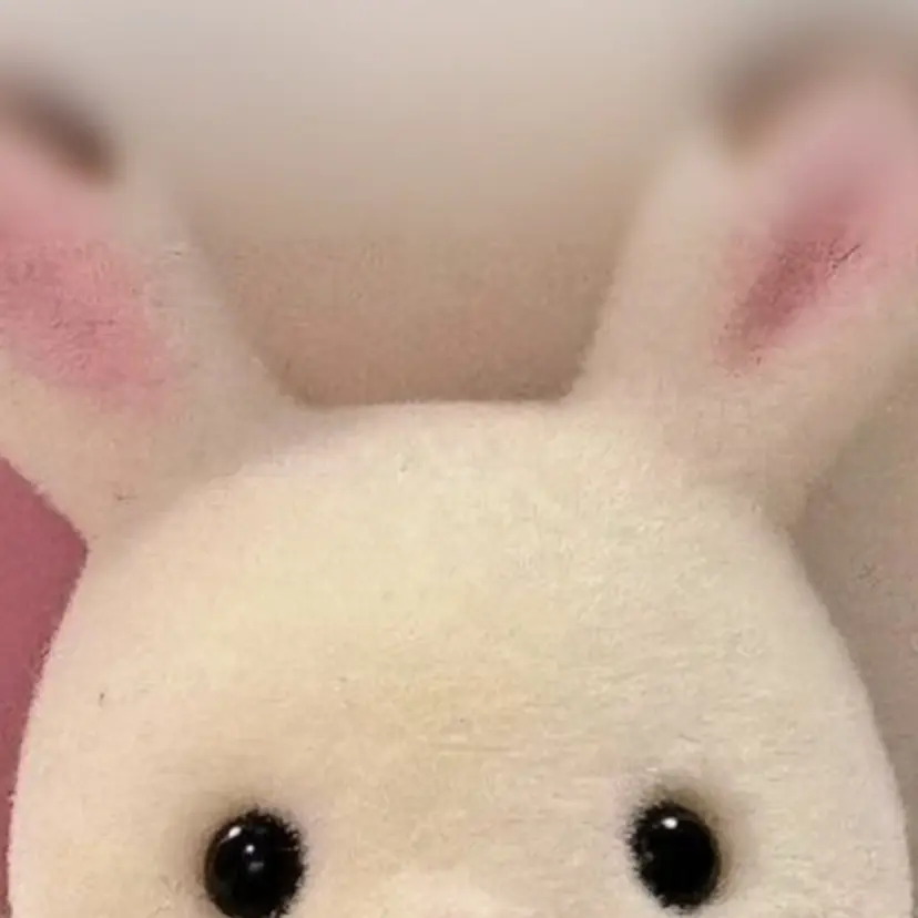 🐼 こゆきの掲載