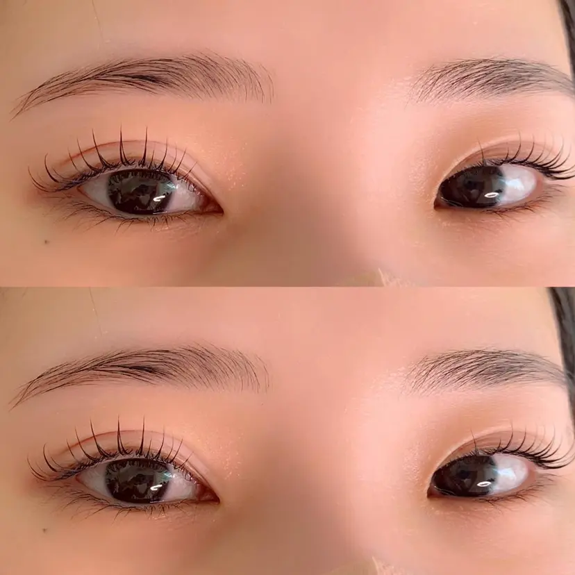 野田 しおりの掲載