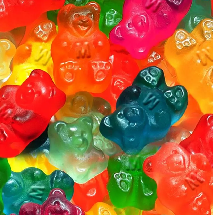 レイヤーカットモデル 募集中　ukaの掲載