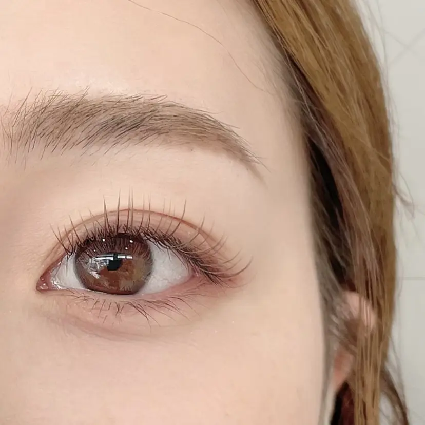 Lily (リリー) 🔰下坂の掲載