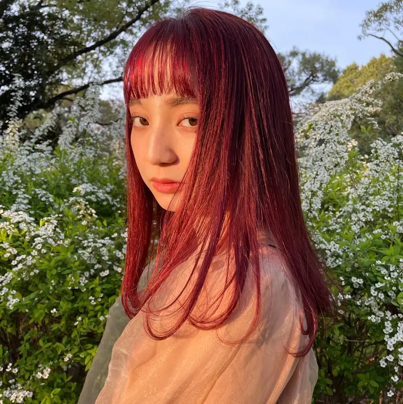 カワシマ セイカの掲載