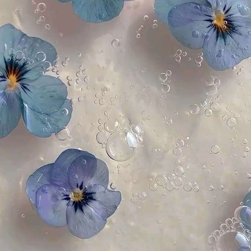 マリーテレジア 🪽BANNOの掲載