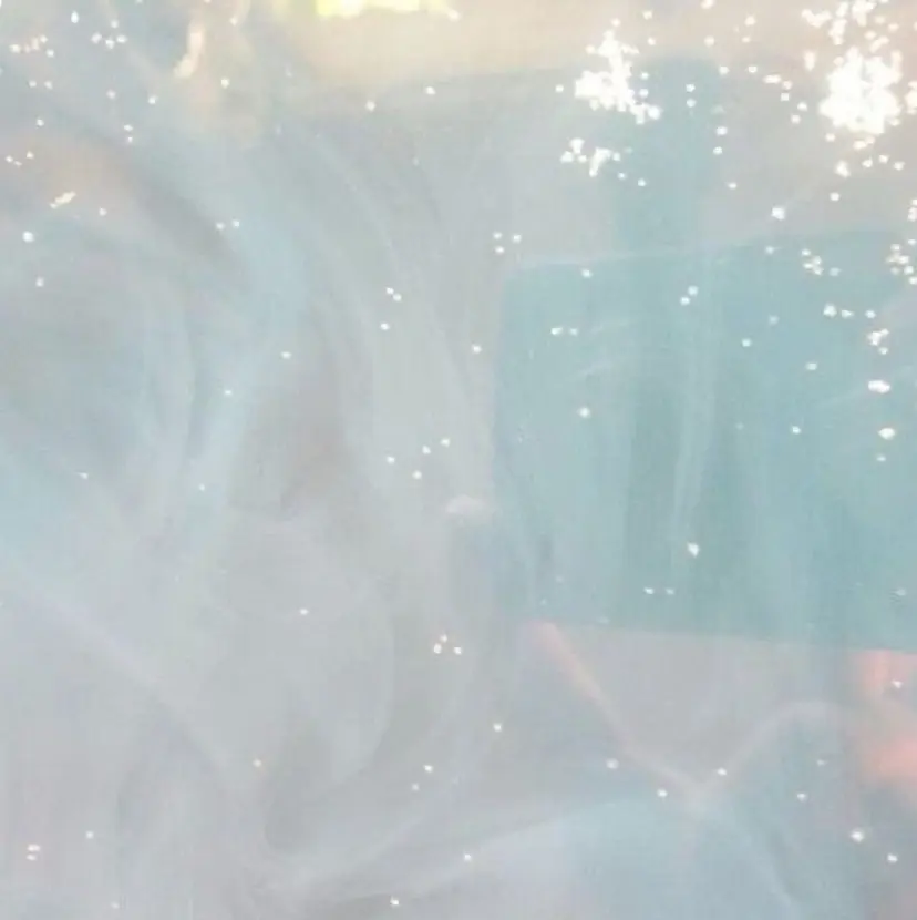 Une fleur RINAの掲載