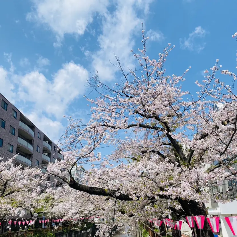 hair make もりした　ゆうの掲載