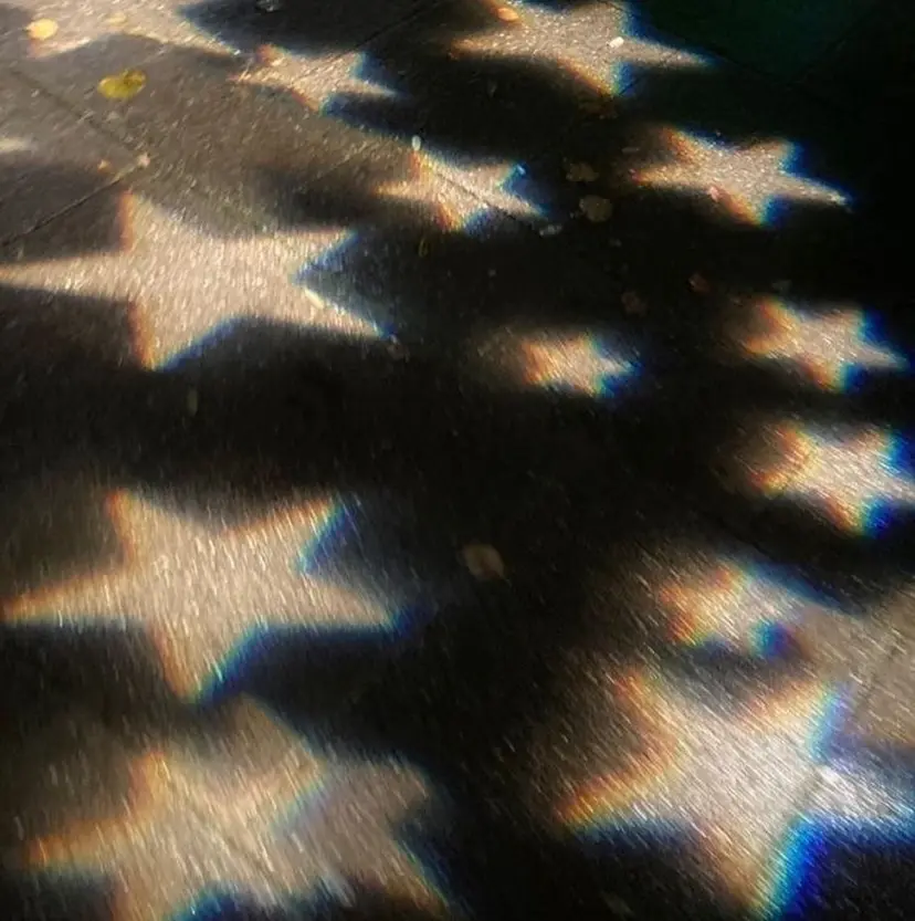 横浜アイリスト ｜ Osezawaの掲載