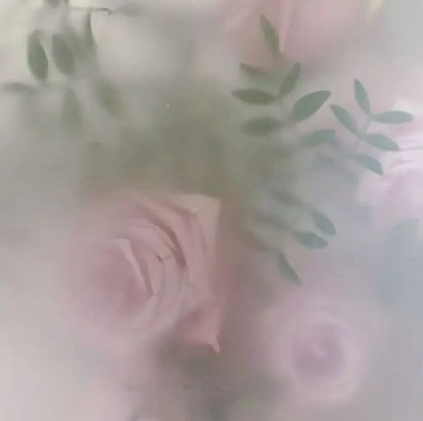 さと ちさの掲載