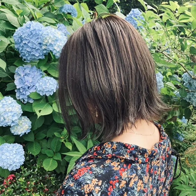 しんた ようの掲載