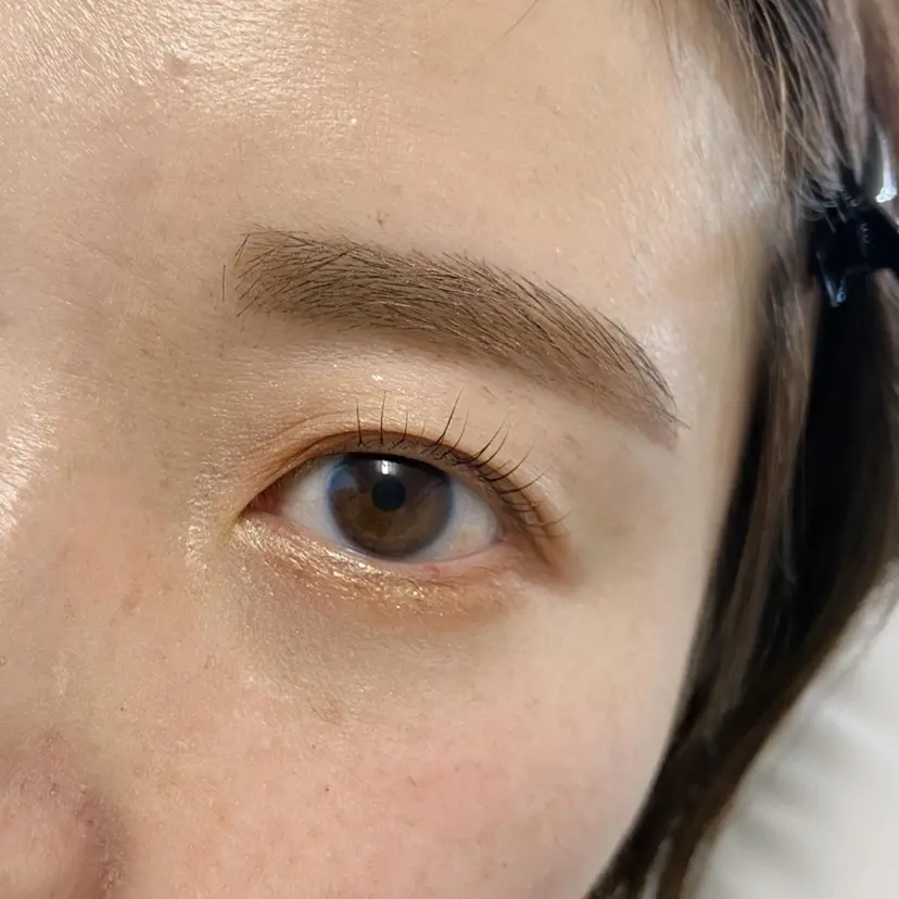 犬飼 統子の掲載