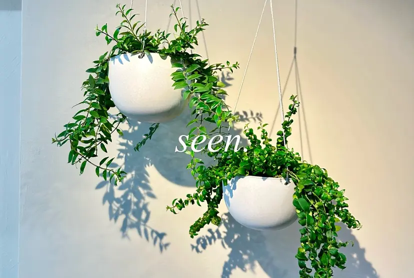 札幌大通/メンズ/ 縮毛矯正•髪質改善の掲載