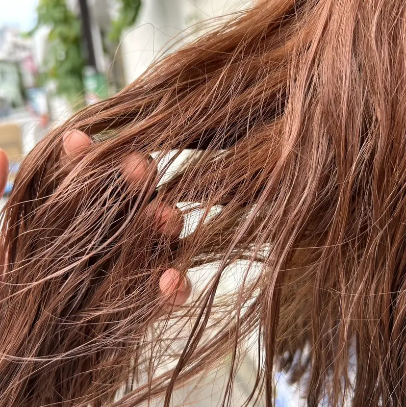 愛知のオレンジくん /Harumiの掲載