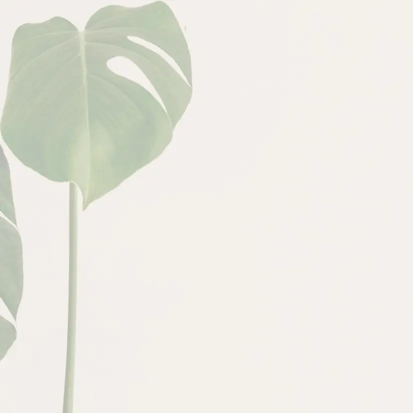 eyan _kco 西宮/甲子園口の掲載