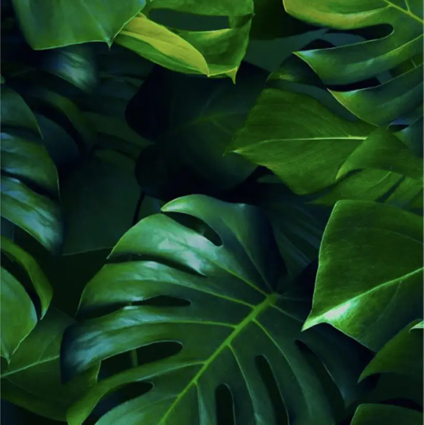 hair & ☆Chika☆の掲載