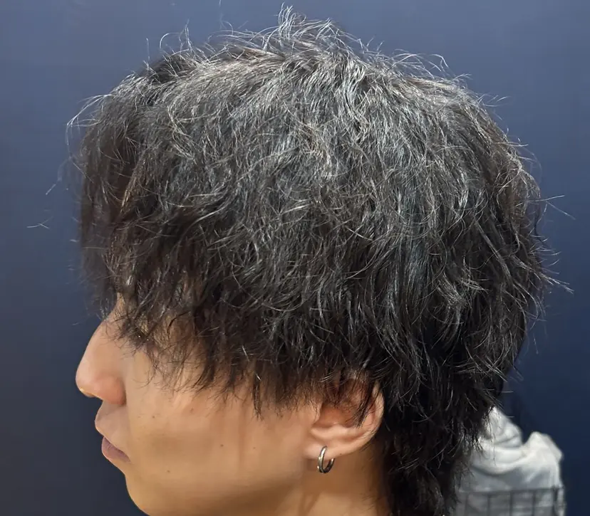 相澤 拓馬の掲載