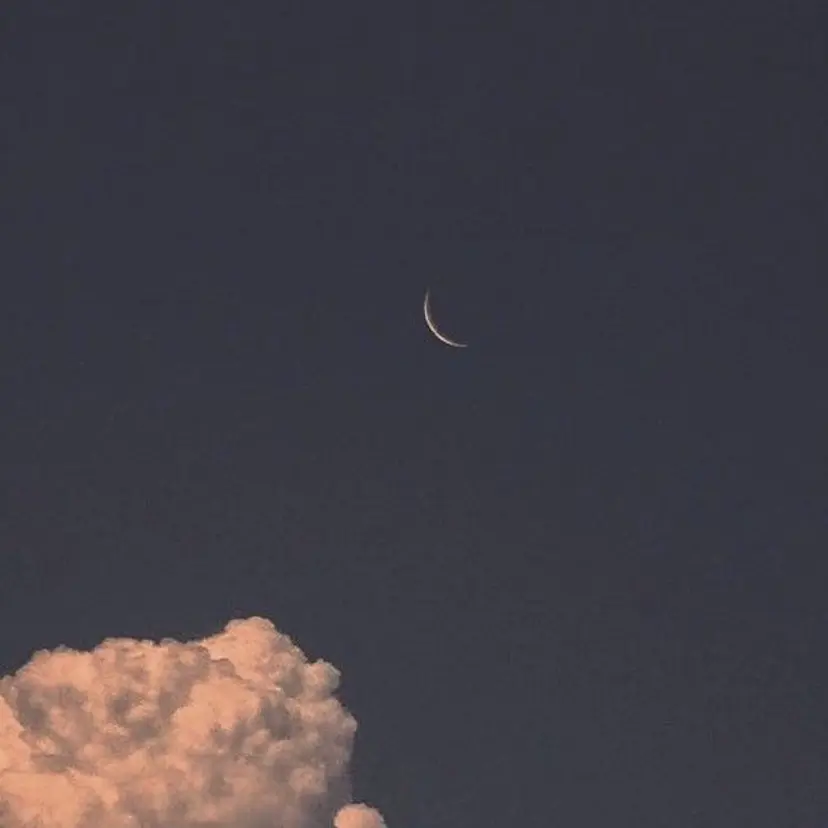 ロコラッシュ西船橋 佐藤の掲載