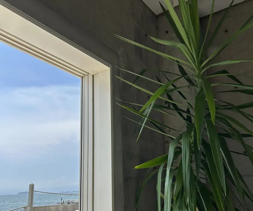 ンジハ えみの掲載