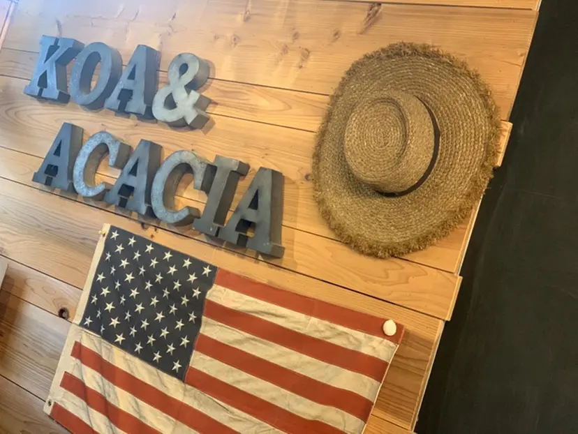 ヨッ シーの掲載