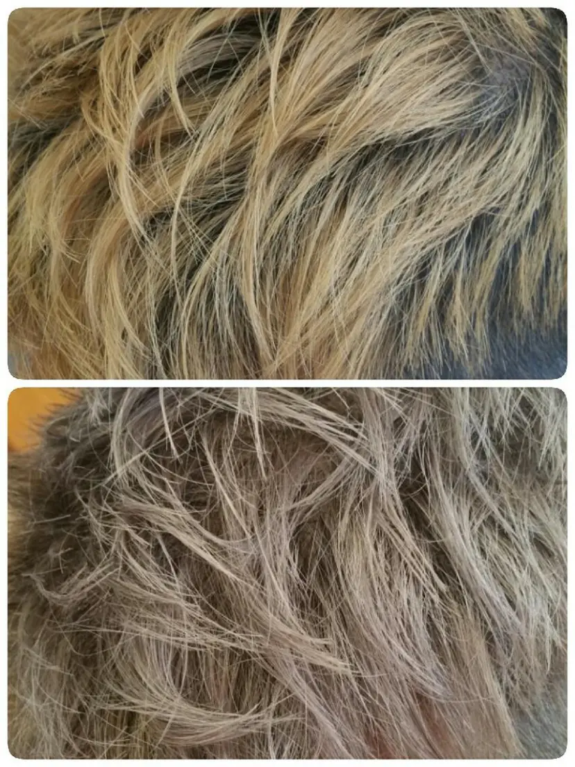 こが けんじの掲載