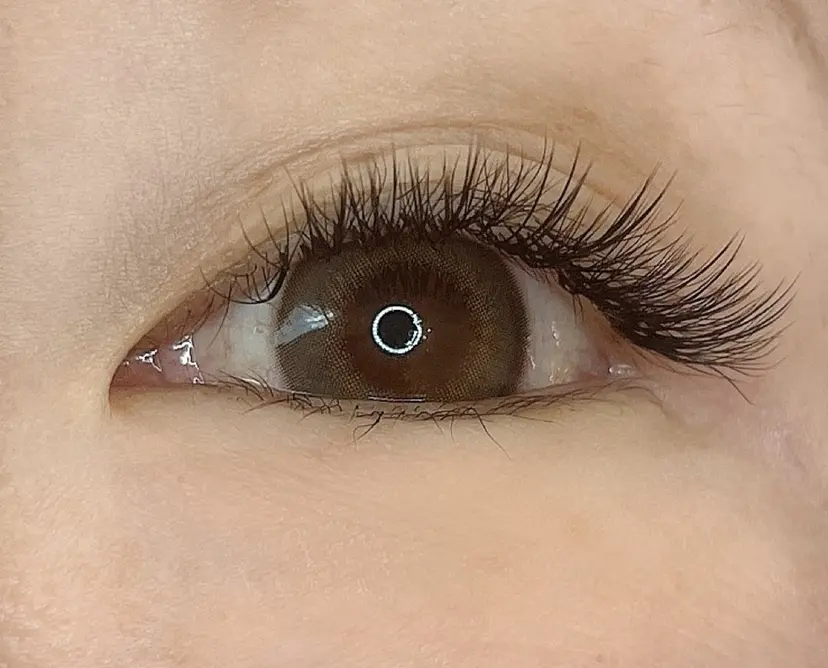 平井 まいの掲載