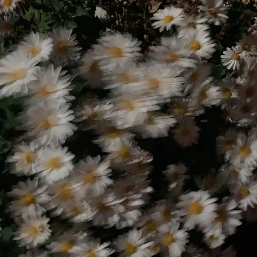 梶尾 悠人の掲載