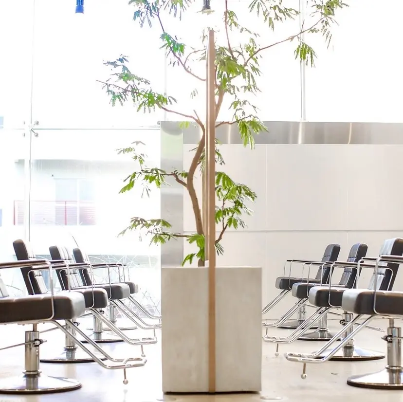 祖父江 冴織の掲載