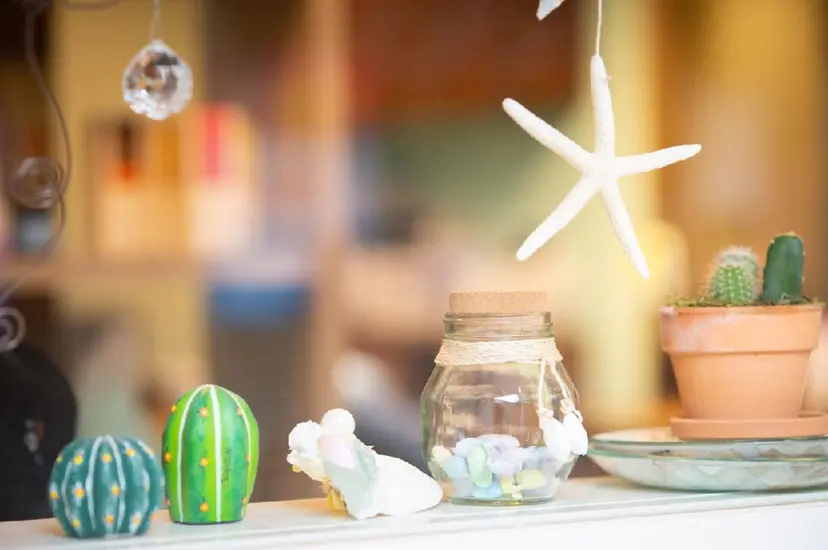 スミダ モモコの掲載