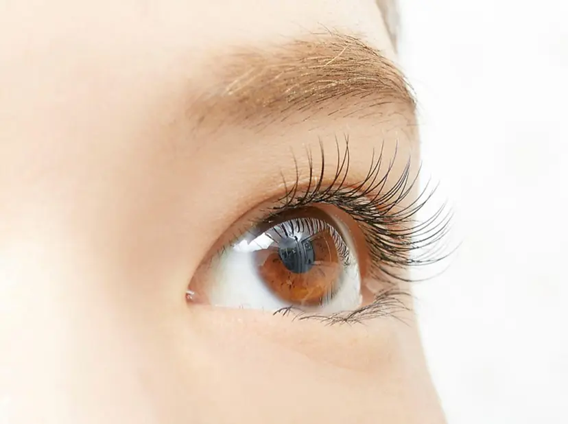 金子 アリサの掲載