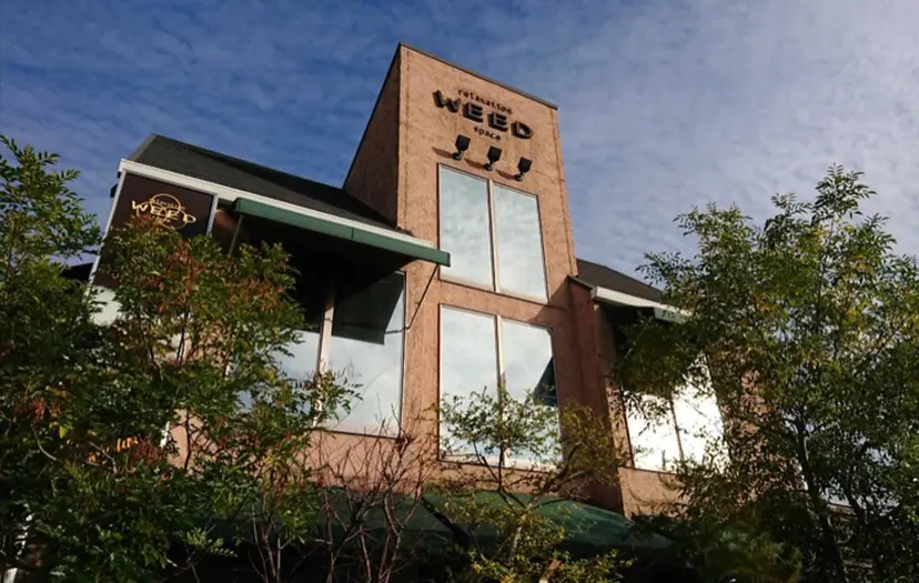 西川 有見の掲載