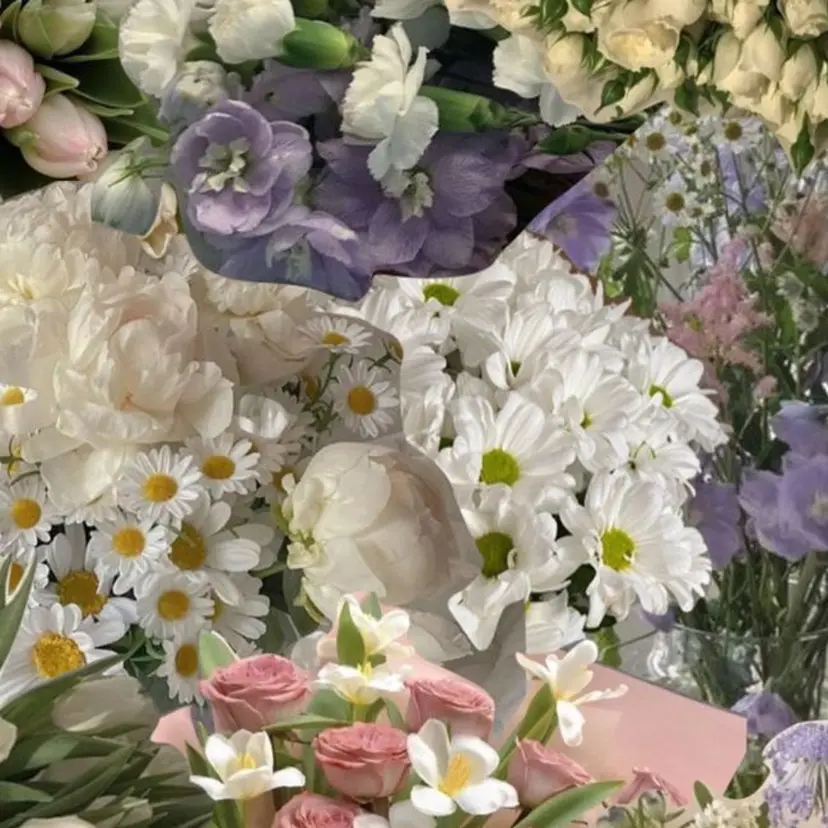 サノ ヒラリ🌷の掲載