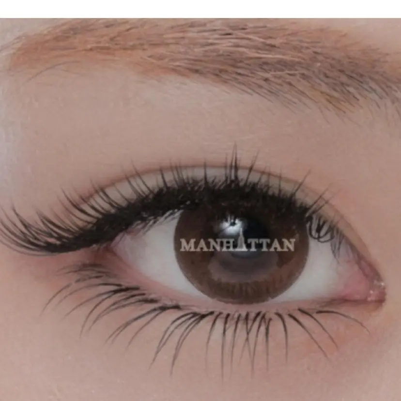 鈴木 朝子の掲載