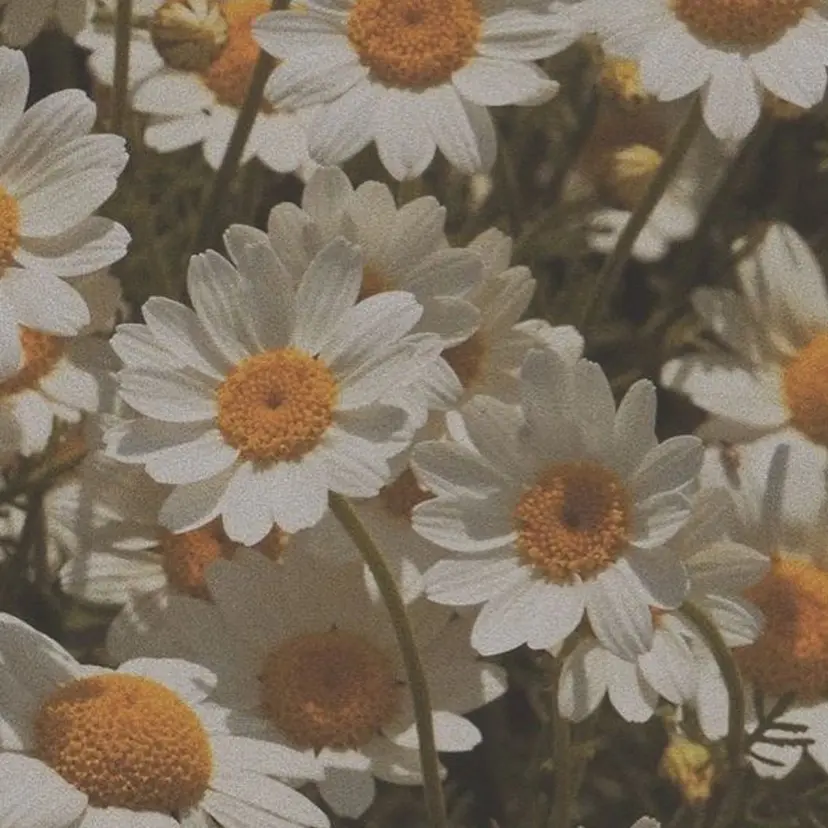 濵砂 雛子の掲載