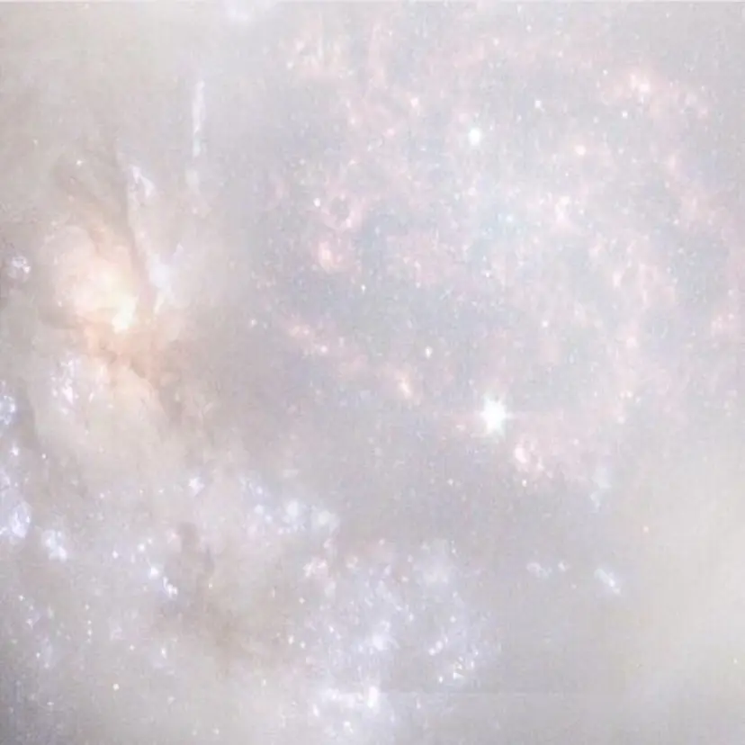 RIN/エクステ烏丸 四条大宮レイヤーの掲載