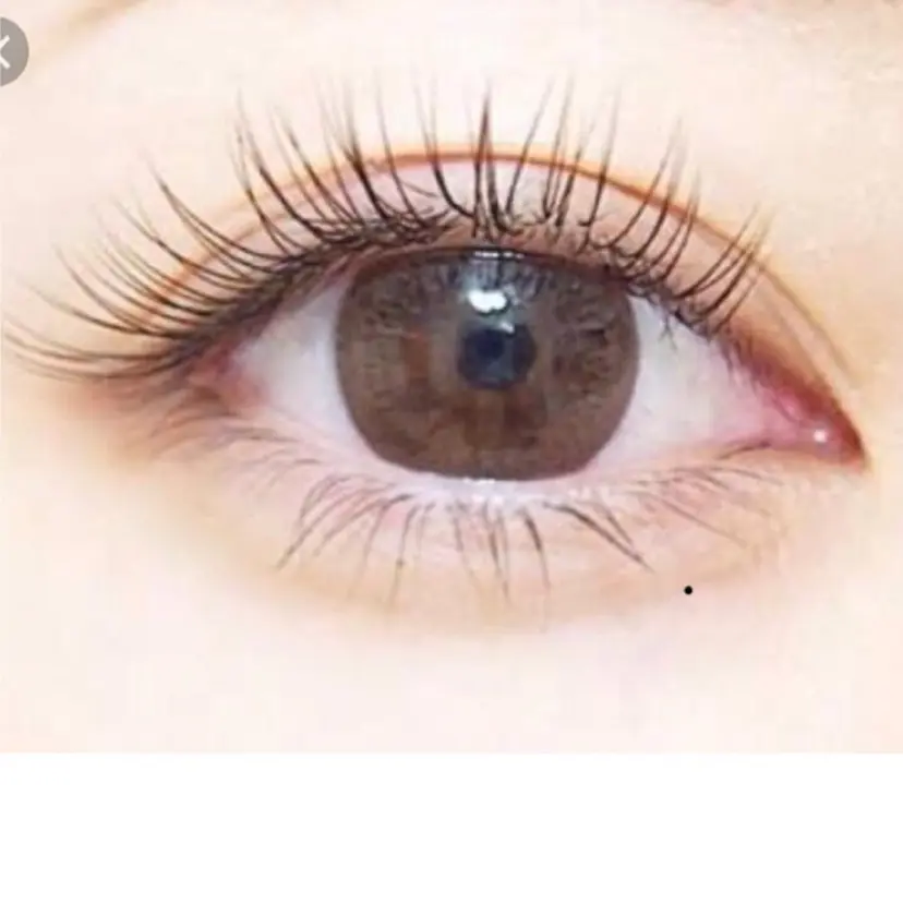 Melissa Melissaの掲載