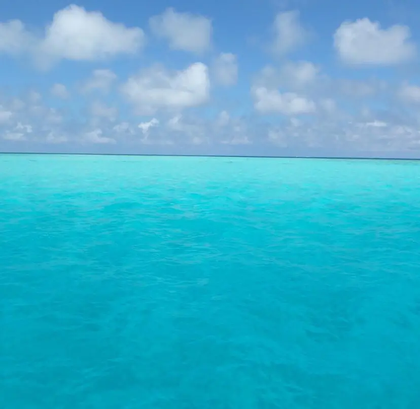 石井 あかねの掲載