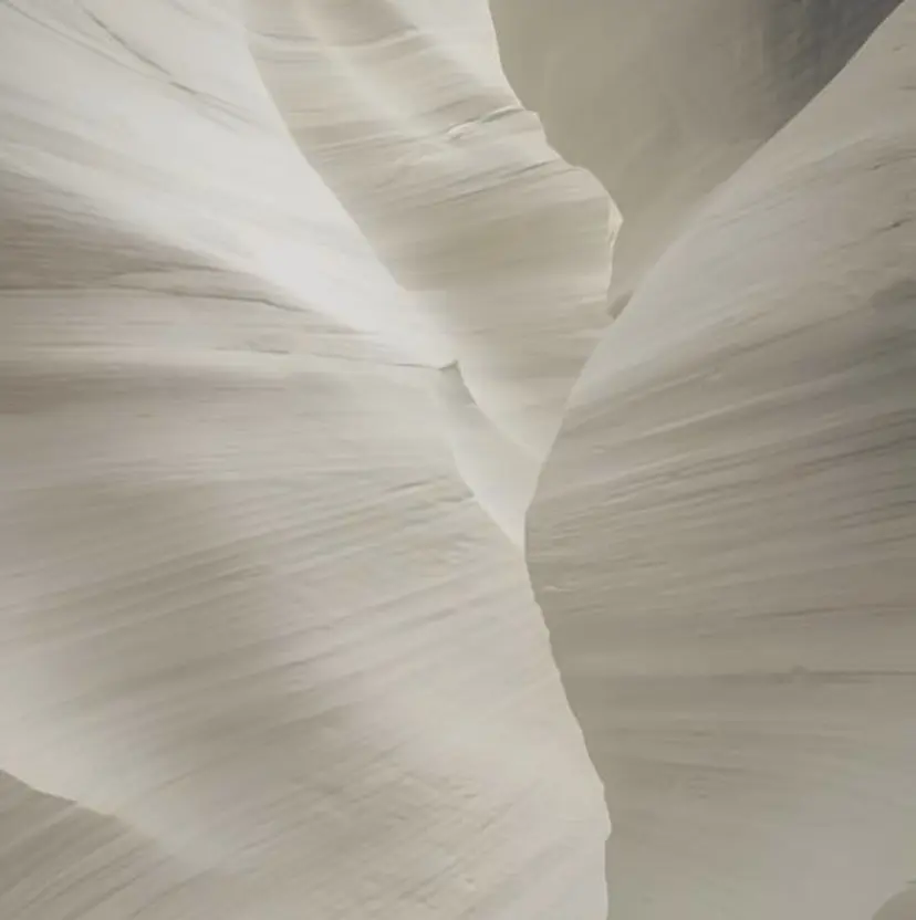 NINE... Mikiの掲載