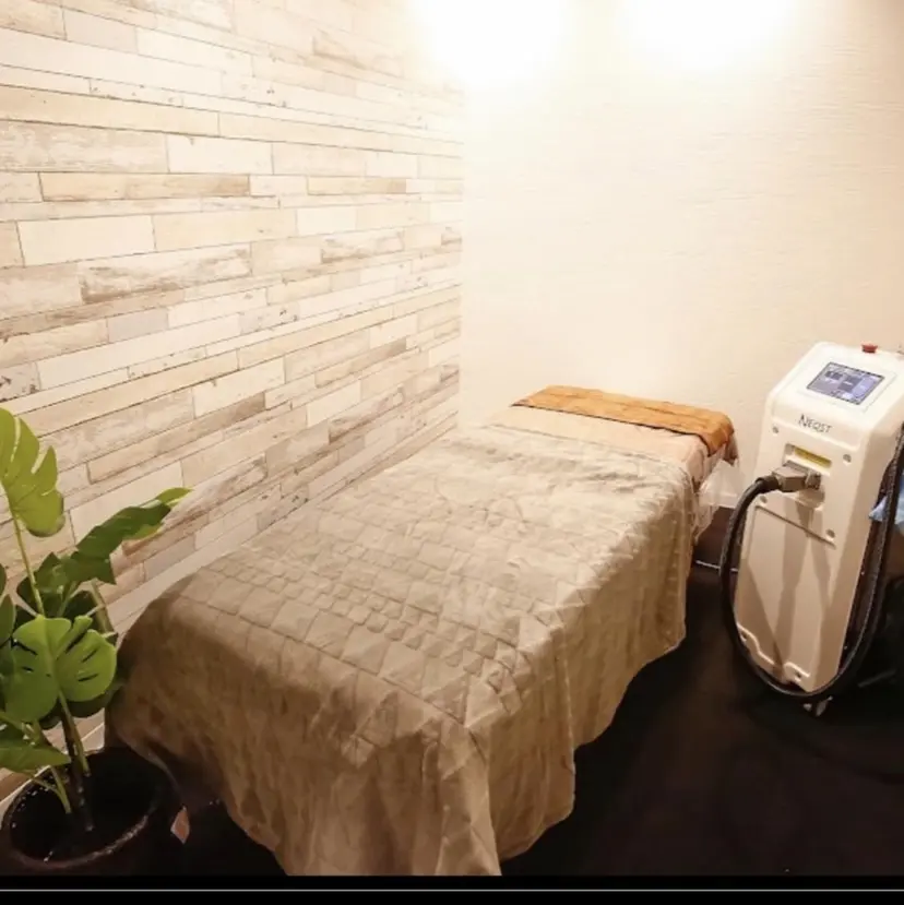 ヤマシタ ミズキの掲載