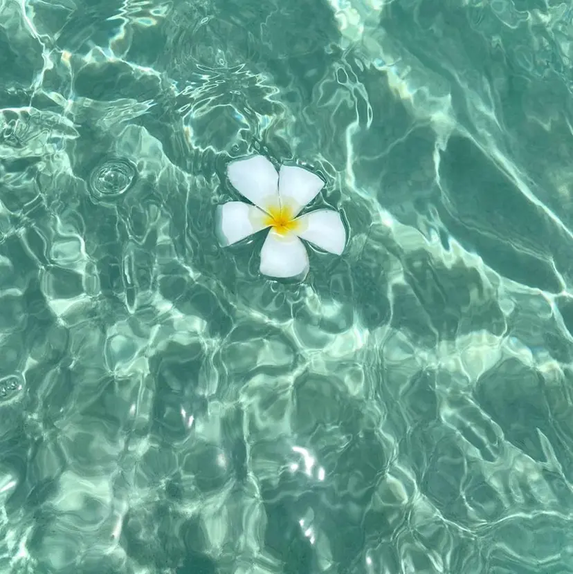 COCONUT NAIL🥥💅🏼の掲載