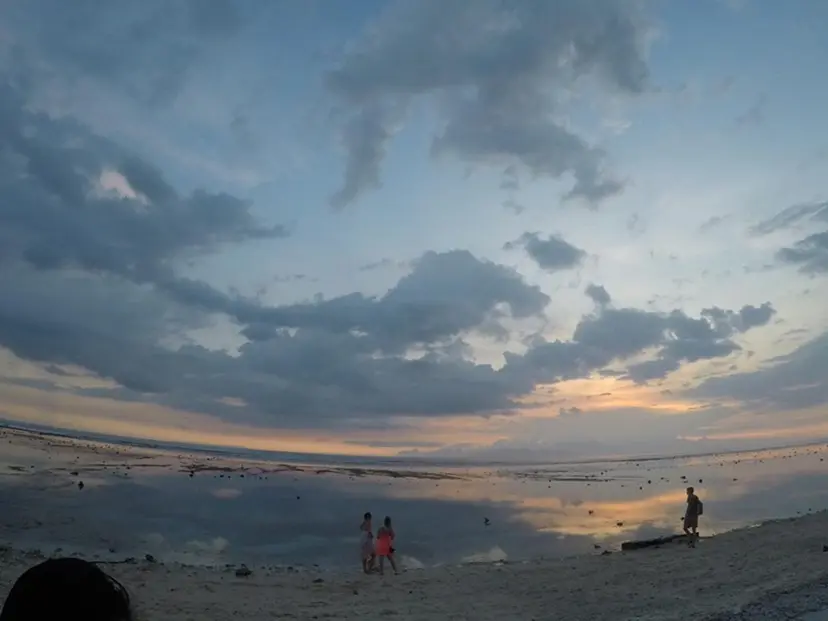 Garden Takeuchiの掲載