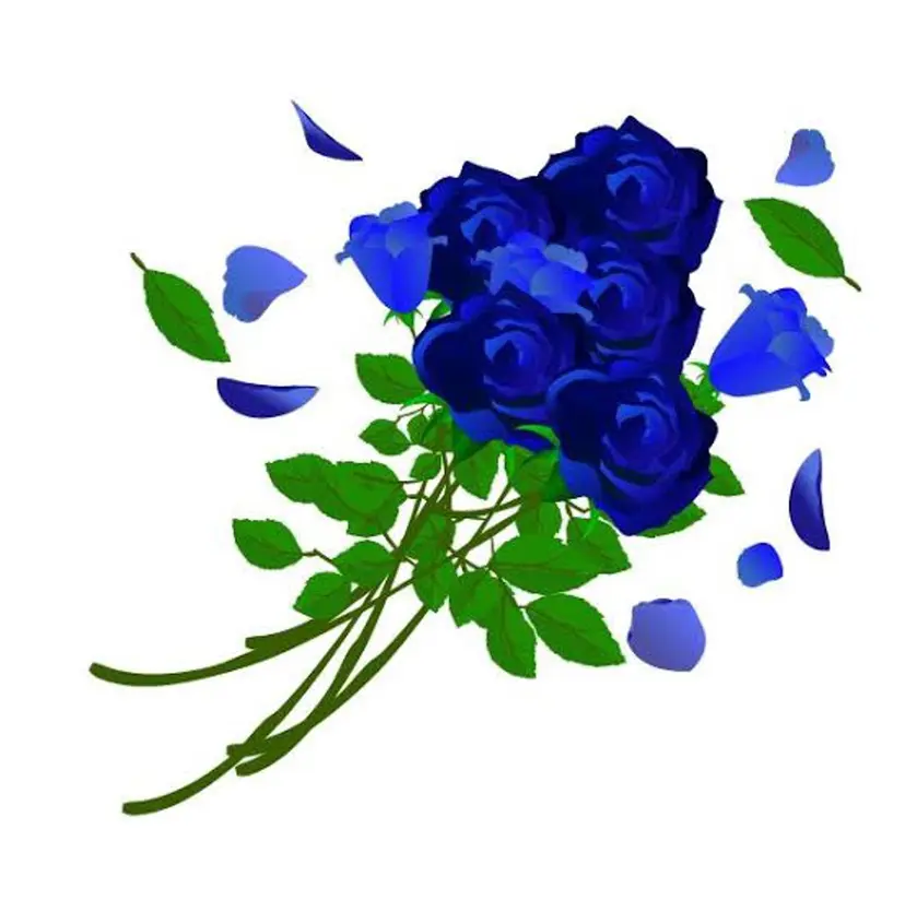 村上 未来の掲載