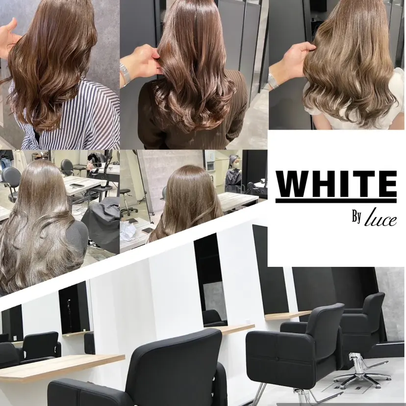 四至本 美裕の掲載