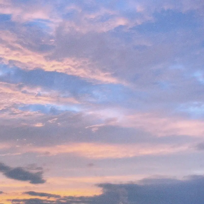 長崎 真子の掲載